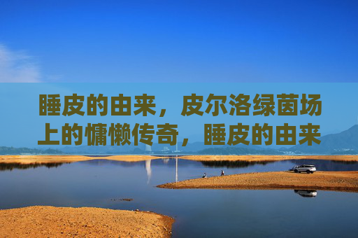 睡皮的由来,皮尔洛绿茵场上的慵懒传奇,睡皮的由来,皮尔洛绿茵场上的慵懒传奇 睡皮的由来,皮尔洛绿茵场上的慵懒传奇,睡皮的由来,皮尔洛绿茵场上的慵懒传奇