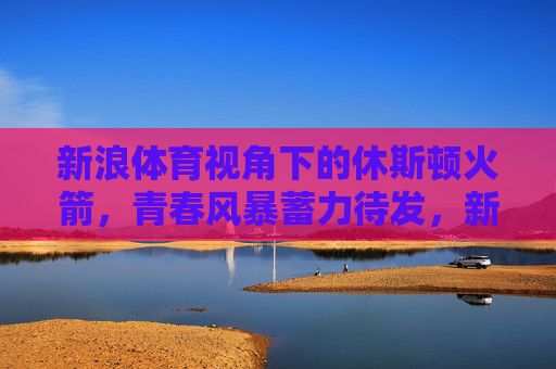 新浪体育视角下的休斯顿火箭，青春风暴蓄力待发，新征程的期待与挑战，新浪体育视角，休斯顿火箭青春风暴蓄力待发，新征程期待与挑战