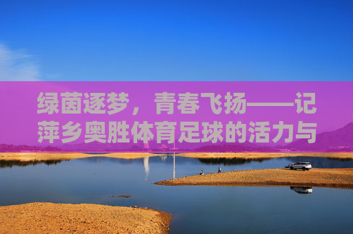 绿茵逐梦，青春飞扬——记萍乡奥胜体育足球的活力与传承，青春飞扬绿茵梦，活力传承奥胜魂