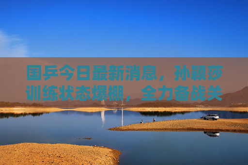 国乒今日最新消息，孙颖莎训练状态爆棚，全力备战关键赛事，展现领军风范，孙颖莎训练状态爆棚 全力备战关键赛事展领军风范