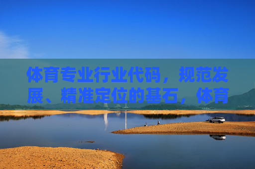 体育专业行业代码，规范发展、精准定位的基石，体育专业行业代码，规范发展、精准定位的基石