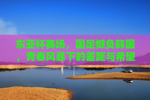 东亚杯赛场,国足憾负韩国,青春风暴下的差距与希望,东亚杯青春风暴,国足憾负韩国,差距与希望 东亚杯赛场,国足憾负韩国,青春风暴下的差距与希望,东亚杯青春风暴,国足憾负韩国,差距与希望