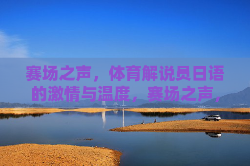 赛场之声，体育解说员日语的激情与温度，赛场之声，日语体育解说的激情与温度