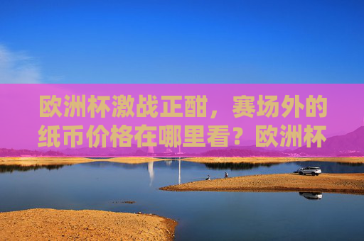 欧洲杯激战正酣,赛场外的纸币价格在哪里看?欧洲杯激战正酣,赛场外纸币价格去哪看 欧洲杯激战正酣,赛场外的纸币价格在哪里看?欧洲杯激战正酣,赛场外纸币价格去哪看