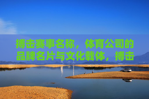 搏击赛事名称，体育公司的品牌名片与文化载体，搏击赛事名称，体育公司的品牌名片与文化载体
