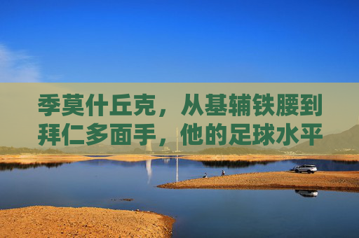 季莫什丘克,从基辅铁腰到拜仁多面手,他的足球水平究竟有多硬?季莫什丘克,从基辅铁腰到拜仁多面手,足球水平究竟有多硬? 季莫什丘克,从基辅铁腰到拜仁多面手,他的足球水平究竟有多硬?季莫什丘克,从基辅铁腰到拜仁多面手,足球水平究竟有多硬?