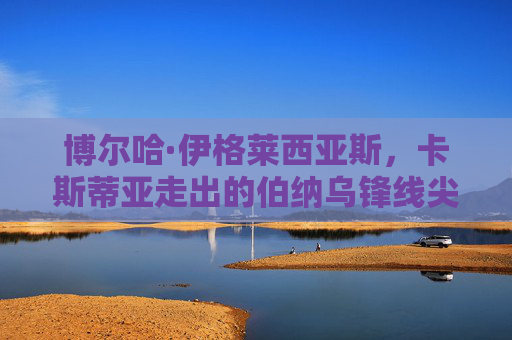 博尔哈·伊格莱西亚斯，卡斯蒂亚走出的伯纳乌锋线尖刀，博尔哈·伊格莱西亚斯，卡斯蒂亚伯纳乌锋线尖刀