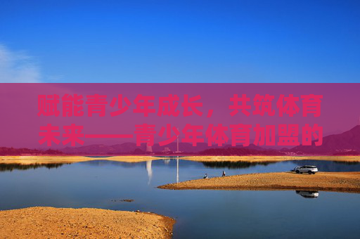 赋能青少年成长，共筑体育未来——青少年体育加盟的机遇与路径，青少年体育加盟，赋能成长，共筑未来的机遇与路径