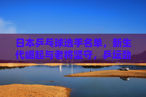 日本乒乓球选手名单,新生代崛起与老将坚守,乒坛劲旅的全面阵容,日本乒坛劲旅,新生代崛起与老将坚守的全面阵容 日本乒乓球选手名单,新生代崛起与老将坚守,乒坛劲旅的全面阵容,日本乒坛劲旅,新生代崛起与老将坚守的全面阵容