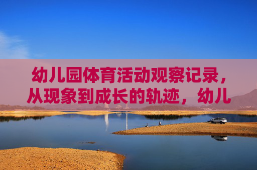 幼儿园体育活动观察记录，从现象到成长的轨迹，幼儿园体育活动观察记录，现象到成长的轨迹