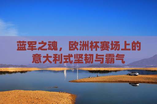 蓝军之魂，欧洲杯赛场上的意大利式坚韧与霸气