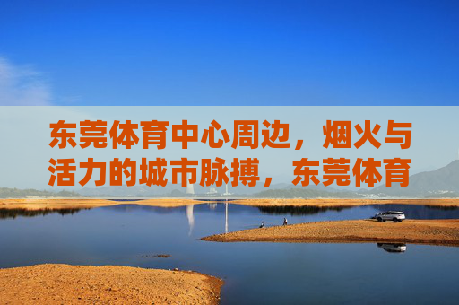 东莞体育中心周边，烟火与活力的城市脉搏，东莞体育中心周边，烟火织就的城市活力脉动