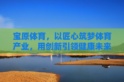 宝原体育，以匠心筑梦体育产业，用创新引领健康未来，宝原体育，匠心筑梦体育产业，创新引领健康未来