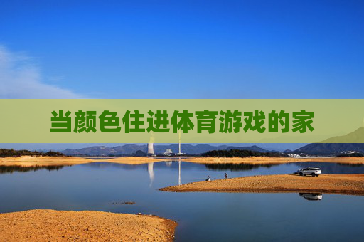 当颜色住进体育游戏的家