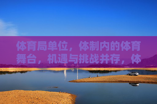 体育局单位，体制内的体育舞台，机遇与挑战并存，体制内体育舞台，体育局单位的机遇与挑战