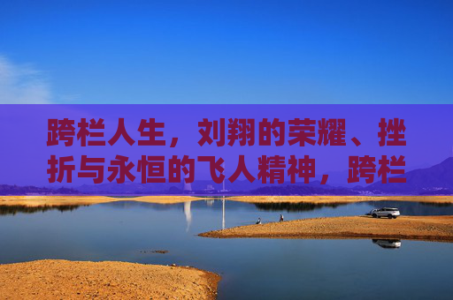 跨栏人生,刘翔的荣耀、挫折与永恒的飞人精神,跨栏人生,荣耀、挫折与永恒飞人精神 跨栏人生,刘翔的荣耀、挫折与永恒的飞人精神,跨栏人生,荣耀、挫折与永恒飞人精神