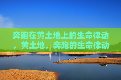 奔跑在黄土地上的生命律动,黄土地,奔跑的生命律动 奔跑在黄土地上的生命律动,黄土地,奔跑的生命律动