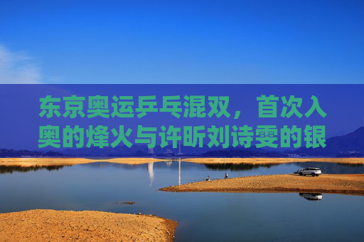 东京奥运乒乓混双，首次入奥的烽火与许昕刘诗雯的银色遗憾，东京奥运乒乓混双首入奥，许昕刘诗雯的银色遗憾