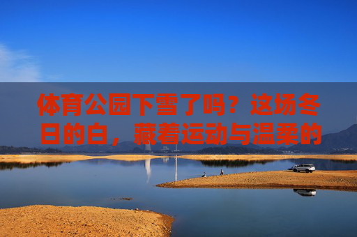 体育公园下雪了吗？这场冬日的白，藏着运动与温柔的诗意，雪落体育公园，运动与冬日的温柔诗