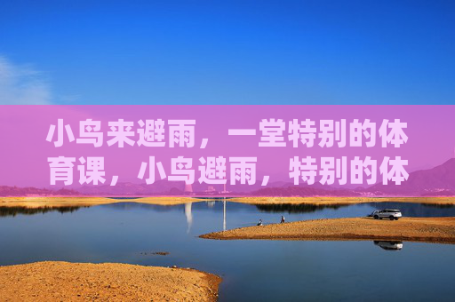 小鸟来避雨，一堂特别的体育课，小鸟避雨，特别的体育课