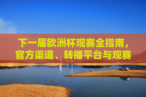 下一届欧洲杯观赛全指南，官方渠道、转播平台与观赛攻略，助你轻松找到精彩，下一届欧洲杯观赛全指南，官方渠道、转播平台与攻略助你轻松追精彩