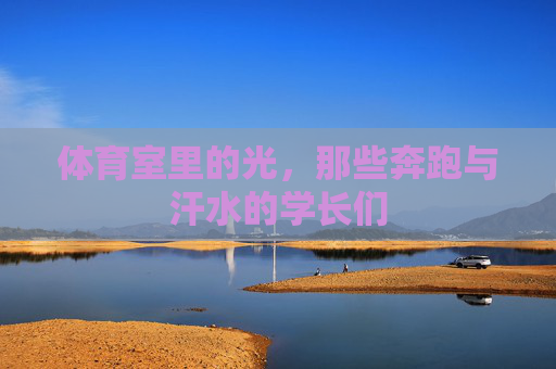 体育室里的光，那些奔跑与汗水的学长们
