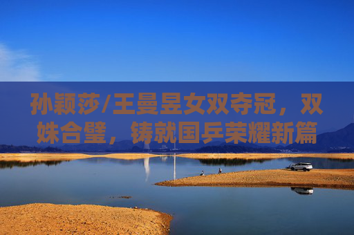孙颖莎/王曼昱女双夺冠，双姝合璧，铸就国乒荣耀新篇章，孙颖莎王曼昱双姝合璧 女双夺冠铸就国乒荣耀新篇章