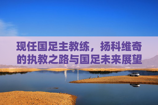 现任国足主教练，扬科维奇的执教之路与国足未来展望，扬科维奇执教之路与国足未来展望