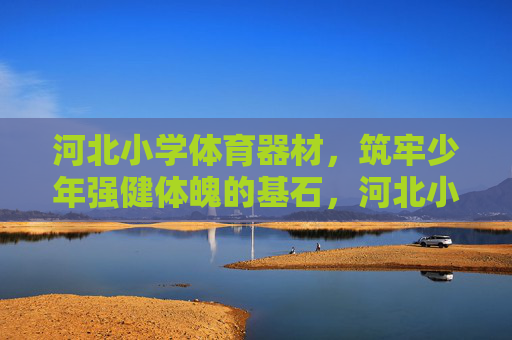 河北小学体育器材,筑牢少年强健体魄的基石,河北小学体育器材,筑牢少年强健体魄基石 河北小学体育器材,筑牢少年强健体魄的基石,河北小学体育器材,筑牢少年强健体魄基石