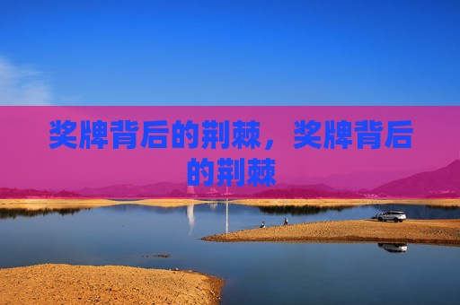奖牌背后的荆棘,奖牌背后的荆棘 奖牌背后的荆棘,奖牌背后的荆棘