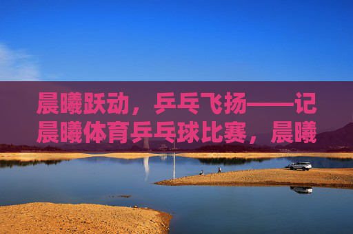 晨曦跃动，乒乓飞扬——记晨曦体育乒乓球比赛，晨曦跃动，乒乓飞扬——记晨曦体育乒乓球比赛