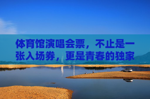 体育馆演唱会票，不止是一张入场券，更是青春的独家记忆，体育馆演唱会票，青春的独家记忆