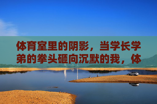 体育室里的阴影，当学长学弟的拳头砸向沉默的我，体育室阴影，拳落沉默