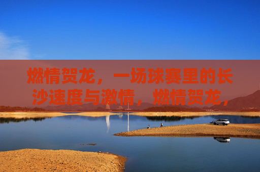 燃情贺龙，一场球赛里的长沙速度与激情，燃情贺龙，长沙球赛的速度与激情