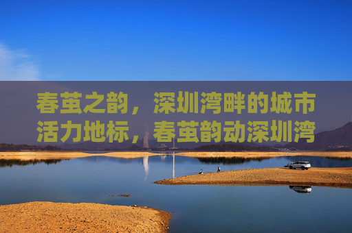 春茧之韵，深圳湾畔的城市活力地标，春茧韵动深圳湾，城市活力地标