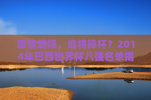 激情燃烧，谁将捧杯？2014年巴西世界杯八强名单揭晓，2014年巴西世界杯八强名单揭晓