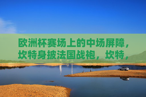 欧洲杯赛场上的中场屏障，坎特身披法国战袍，坎特，欧洲杯法国战袍的中场屏障