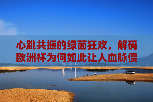 心跳共振的绿茵狂欢，解码欧洲杯为何如此让人血脉偾张？心跳共振的绿茵狂欢，欧洲杯血脉偬张之谜