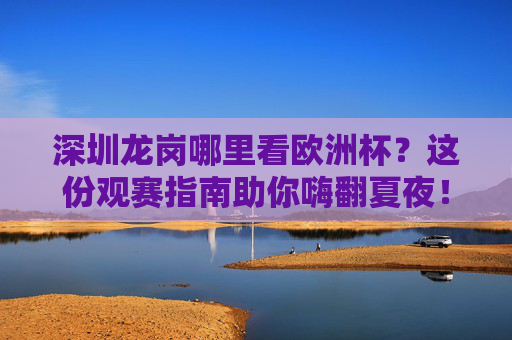 深圳龙岗哪里看欧洲杯？这份观赛指南助你嗨翻夏夜！深圳龙岗欧洲杯观赛指南，嗨翻夏夜看球攻略