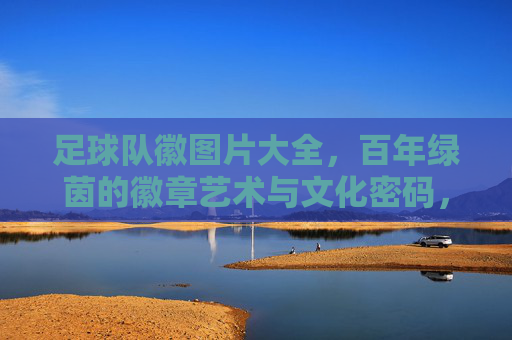 足球队徽图片大全，百年绿茵的徽章艺术与文化密码，百年绿茵的足球队徽，艺术密码与文化图鉴