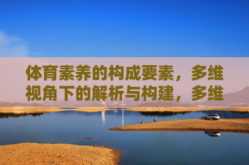 体育素养的构成要素,多维视角下的解析与构建,多维视角下体育素养构成要素的解析与构建 体育素养的构成要素,多维视角下的解析与构建,多维视角下体育素养构成要素的解析与构建