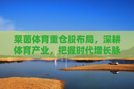 莱茵体育重仓股布局，深耕体育产业，把握时代增长脉搏，莱茵体育重仓深耕体育产业，把握时代增长脉搏