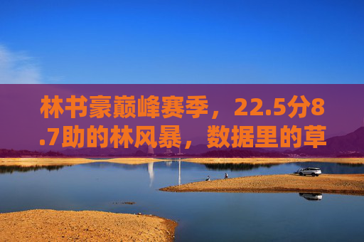 林书豪巅峰赛季,22.5分8.7助的林风暴,数据里的草根传奇,林风暴,22.5分8.7助的草根巅峰传奇 林书豪巅峰赛季,22.5分8.7助的林风暴,数据里的草根传奇,林风暴,22.5分8.7助的草根巅峰传奇