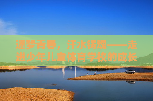 逐梦青春，汗水铸魂——走进少年儿童体育学校的成长之路，少年体校，汗水浇灌的青春逐梦路