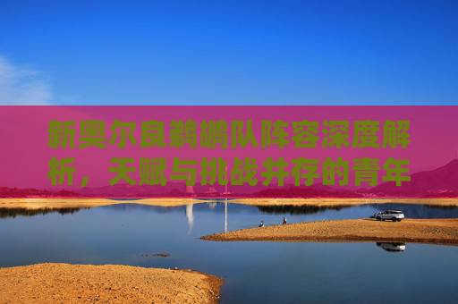 新奥尔良鹈鹕队阵容深度解析，天赋与挑战并存的青年军，新奥尔良鹈鹕队阵容深度解析，天赋与挑战并存的青年军