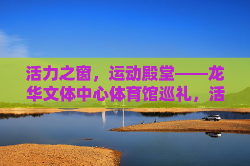 活力之窗，运动殿堂——龙华文体中心体育馆巡礼，活力之窗，运动殿堂——龙华文体中心体育馆巡礼