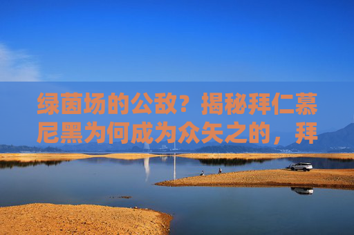 绿茵场的公敌?揭秘拜仁慕尼黑为何成为众矢之的,拜仁慕尼黑,揭秘绿茵场众矢之的 绿茵场的公敌?揭秘拜仁慕尼黑为何成为众矢之的,拜仁慕尼黑,揭秘绿茵场众矢之的