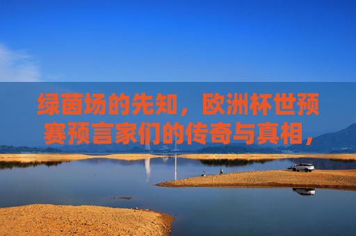 绿茵场的先知，欧洲杯世预赛预言家们的传奇与真相，绿茵场预言家，欧洲杯世预赛的传奇与真相