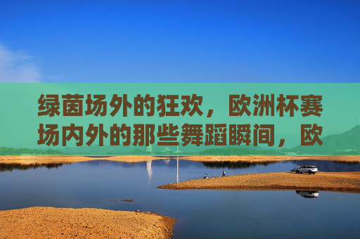 绿茵场外的狂欢，欧洲杯赛场内外的那些舞蹈瞬间，欧洲杯赛场内外的舞蹈狂欢