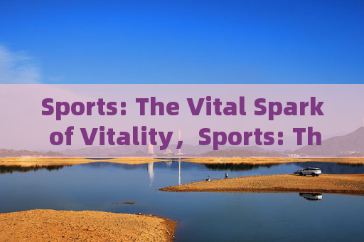 Sports: The Vital Spark of Vitality，Sports: The Vital Spark of Vitality